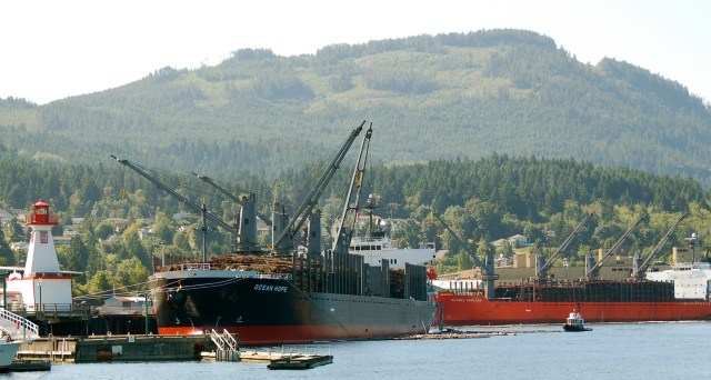 Ships loaded with raw logs for China