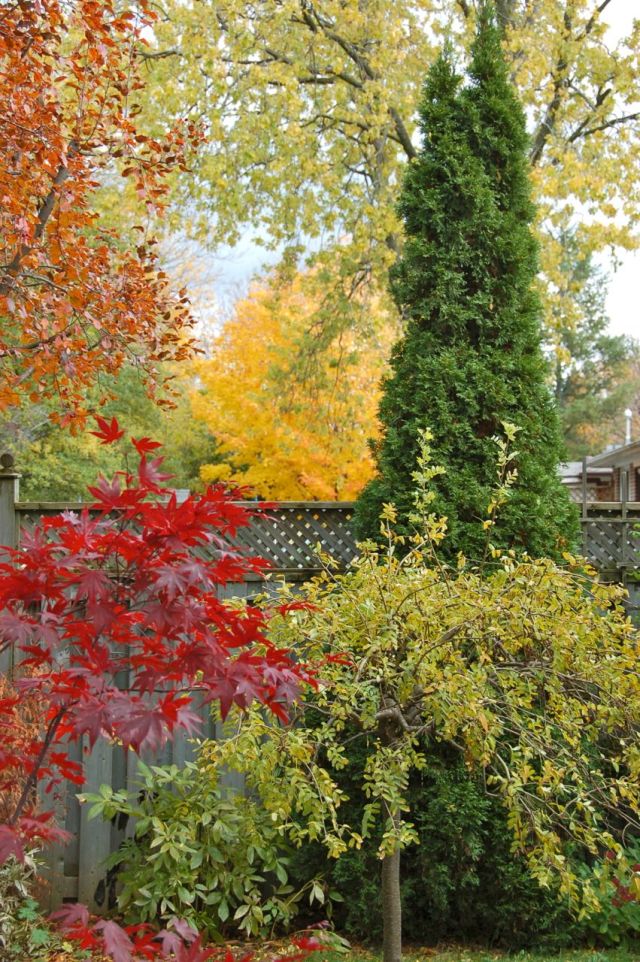 Fall garden
