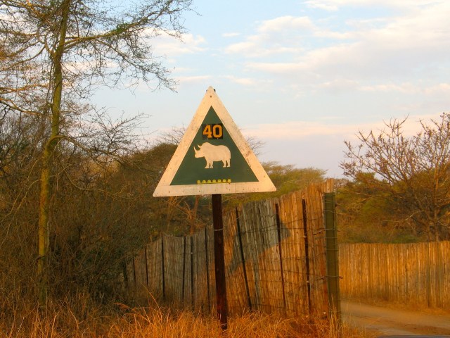 Rhino deterrent bridge ahead sign