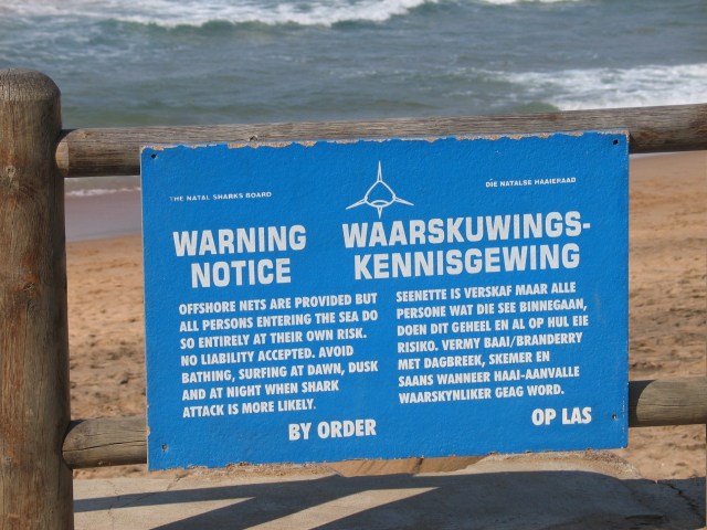 Shark attack sign