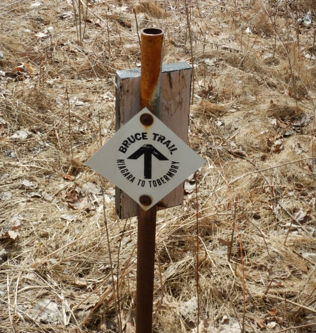 Bruce trail marker