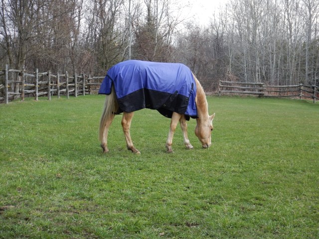 Vegas savouring the sweetness.