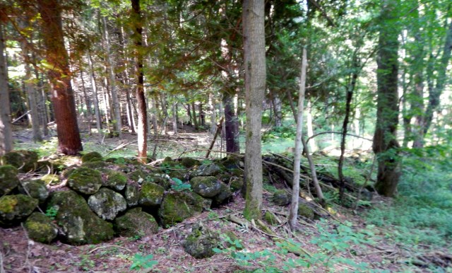 Stone fence 2