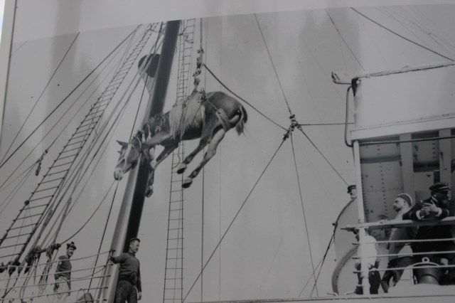 WW1 horse loading