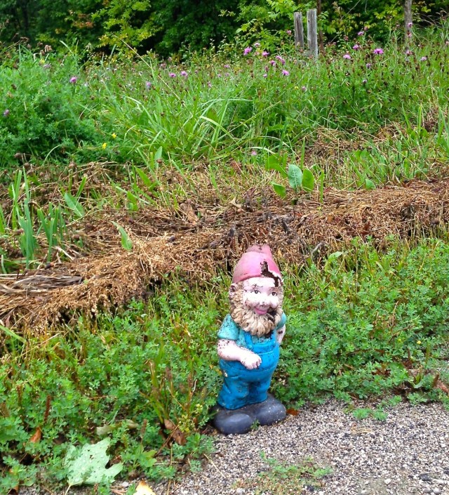 gnome with no home