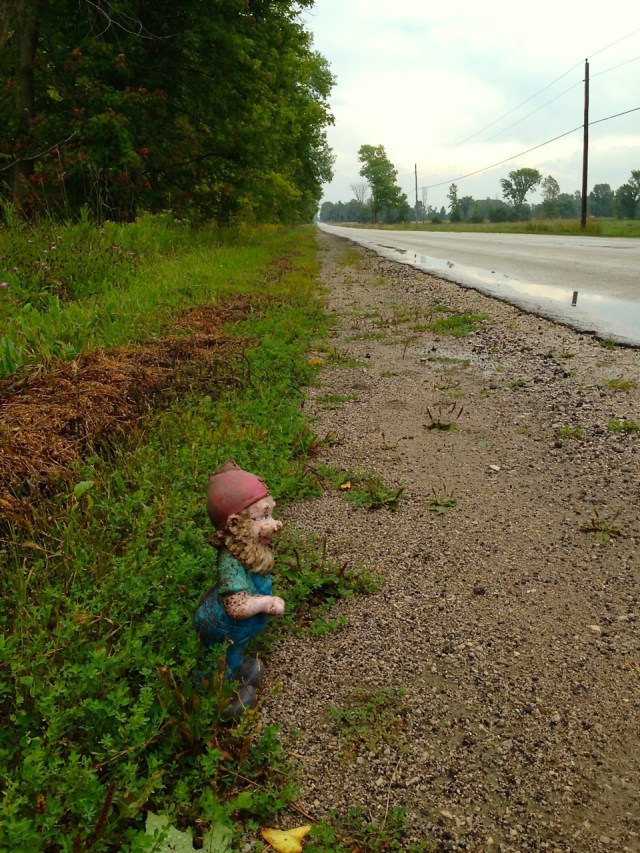 Roadside gnome