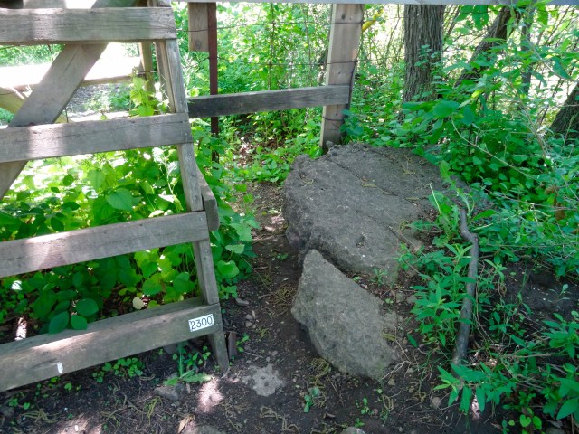 For dogs who can't climb.