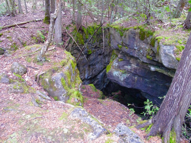 Another bear cave